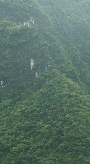 land_3